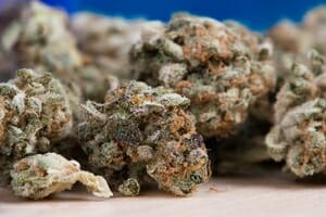 Over Half of Drug-Tested Drivers in Fatal Crashes Had Marijuana or Opiates in System